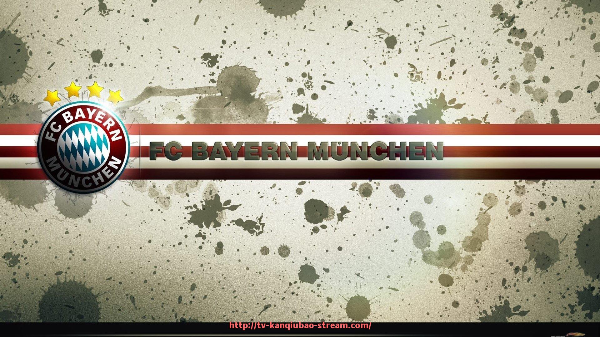 看球宝-世俱杯赛事志愿服务体系建设与培训方案