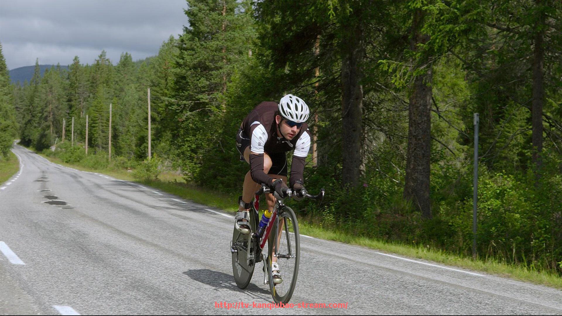 看球宝-世俱杯赛事数据分析与技术支持团队组织架构与职责