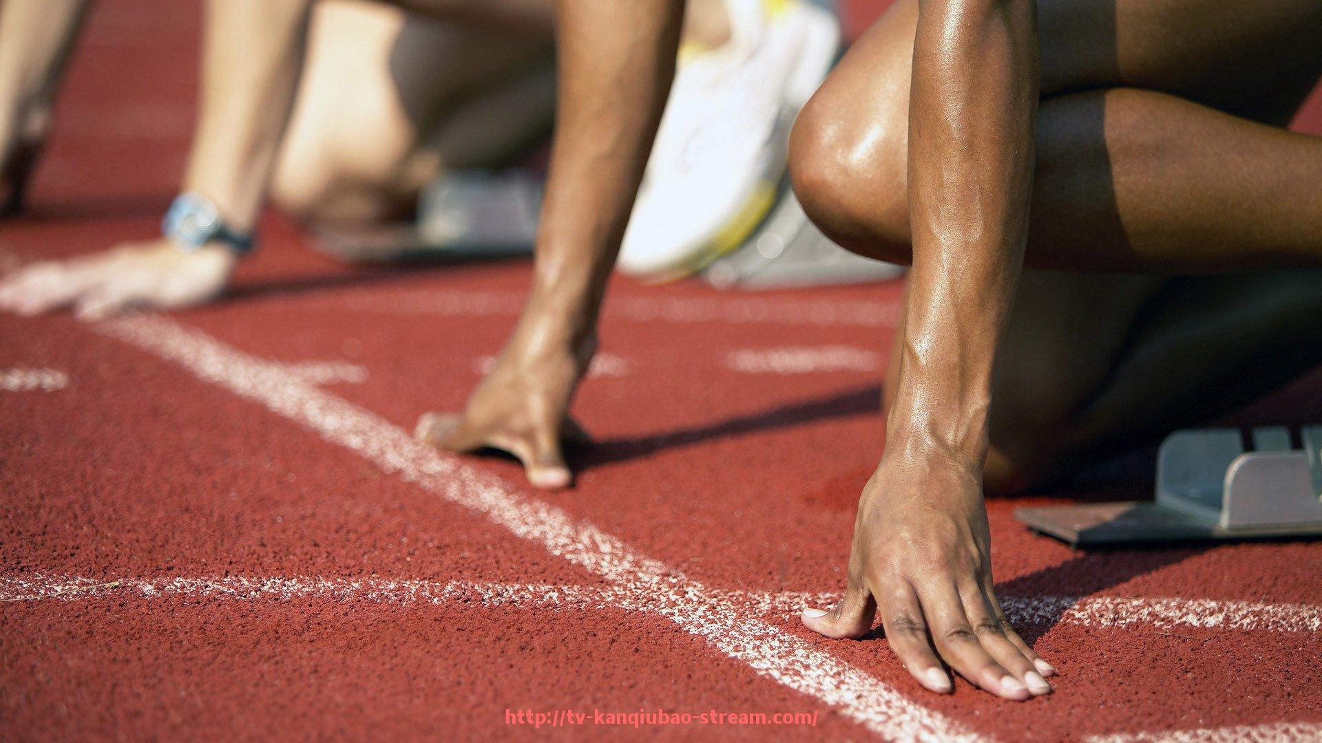 看球宝-世俱杯金融支持结构及各方资金投入情况