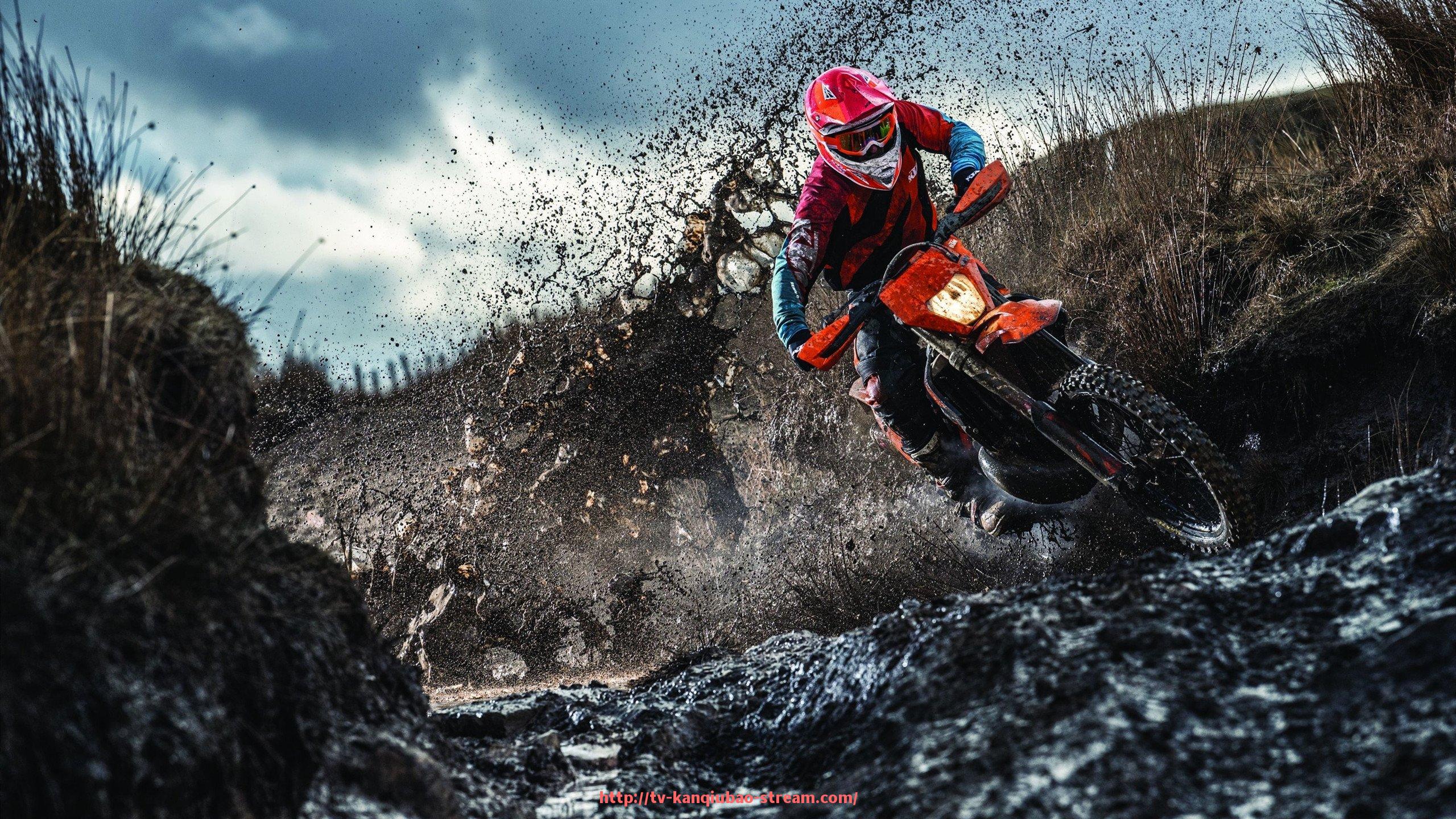 看球宝-青岛健身器材专卖店的选择与购买指南