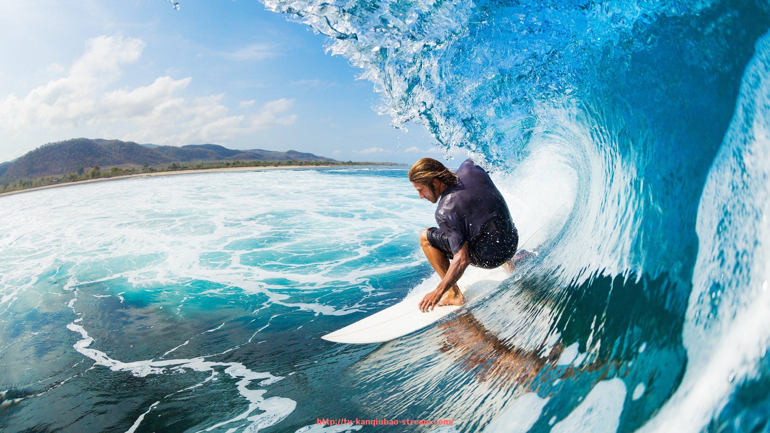 看球宝-健身器材拉背训练动作步骤与肌肉发力区域说明